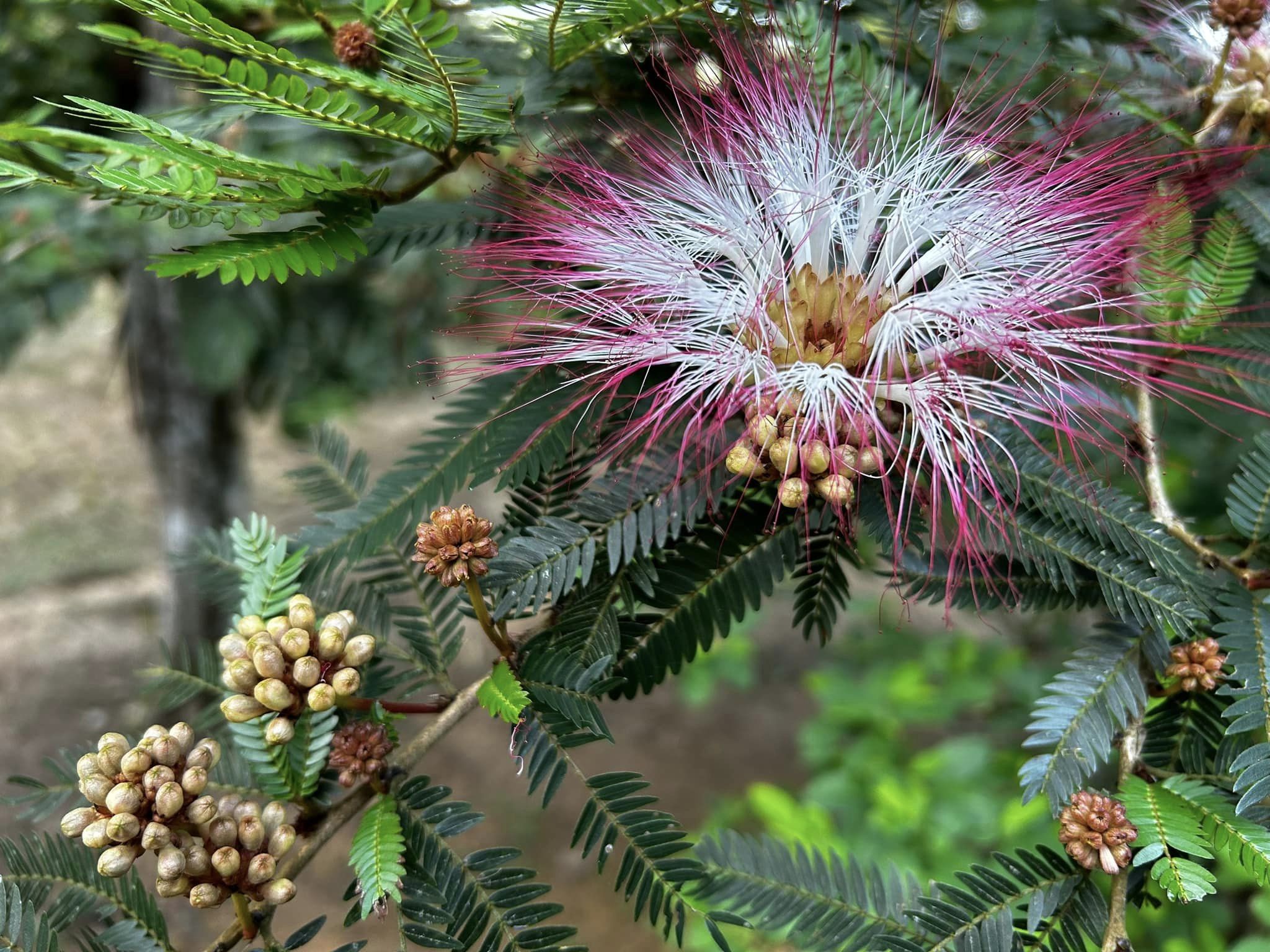 #10 - Pottyogó csontvázak