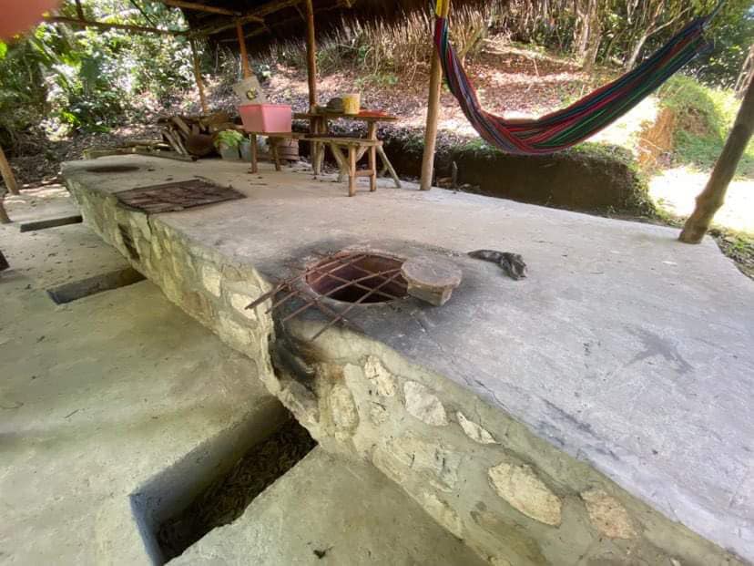 #7 - Egy belső utazás a perui dzsungelban