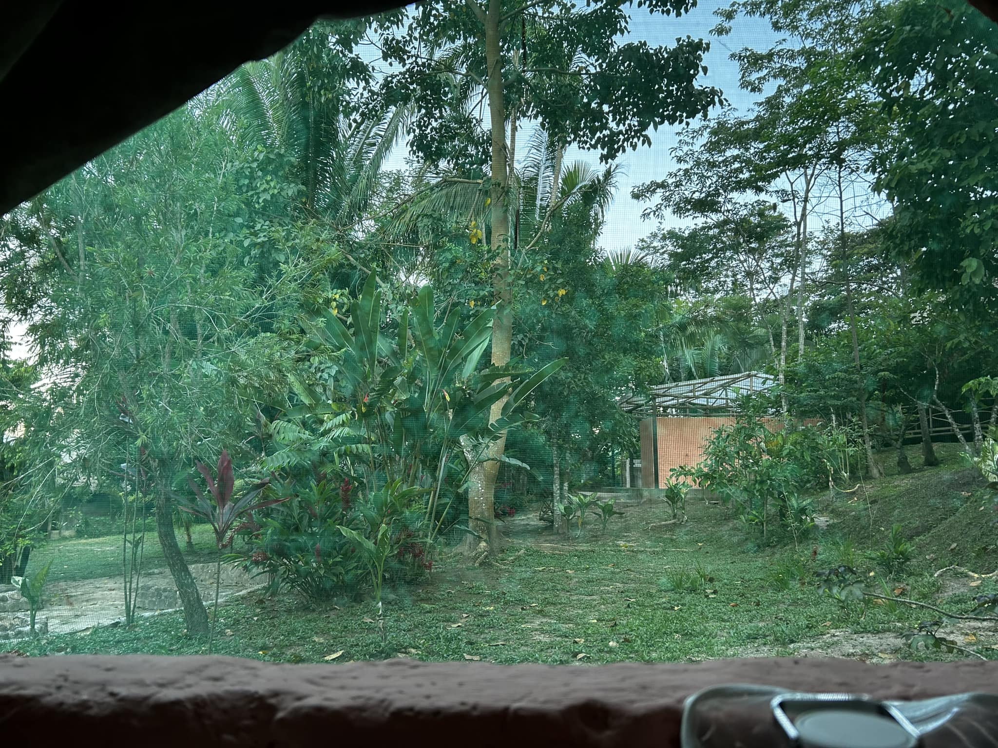 #11 - Együtt megyek a nappal...